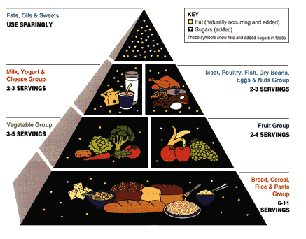 food pyramid guide. food guide, wieght loss